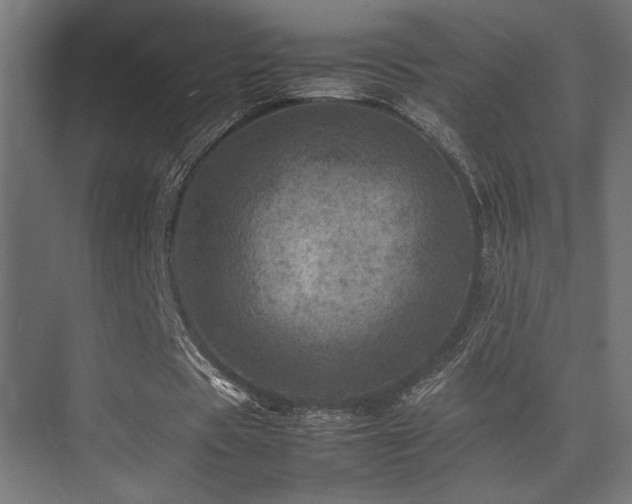 X0000075360529200609081218