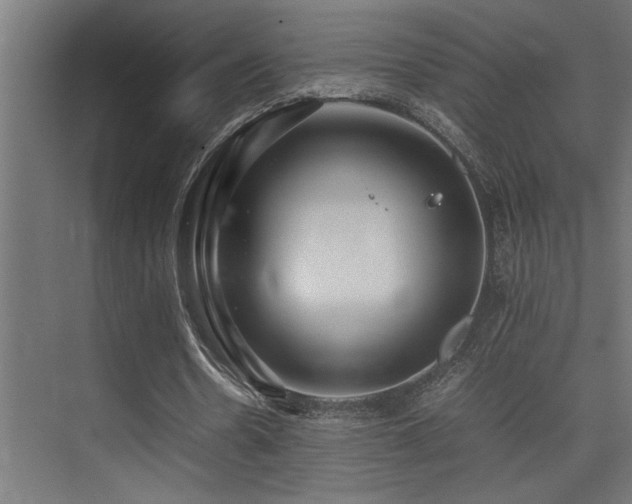 X0000075360530200609081218