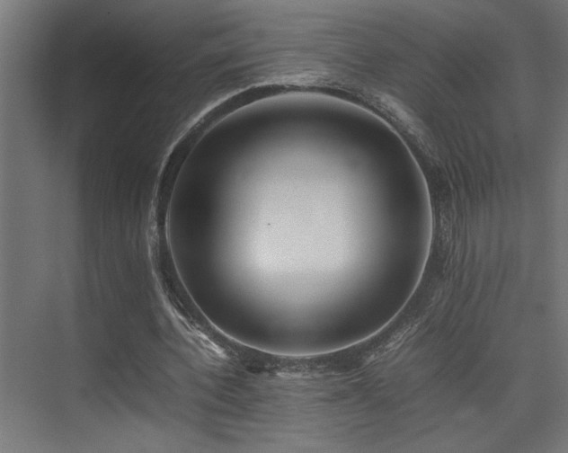 X0000075360532200609081218