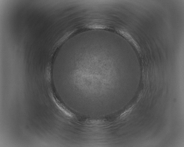 X0000075360533200609081218