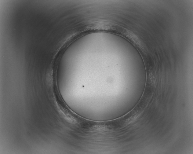 X0000075360534200609081218