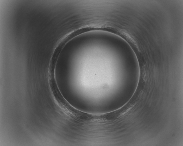 X0000075360536200609081218