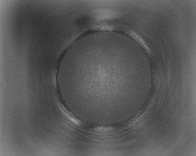 X0000075360537200609081218