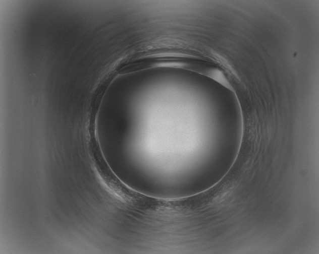 X0000075360538200609081218