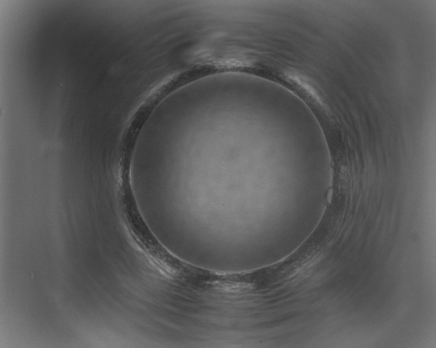 X0000075360539200609081218