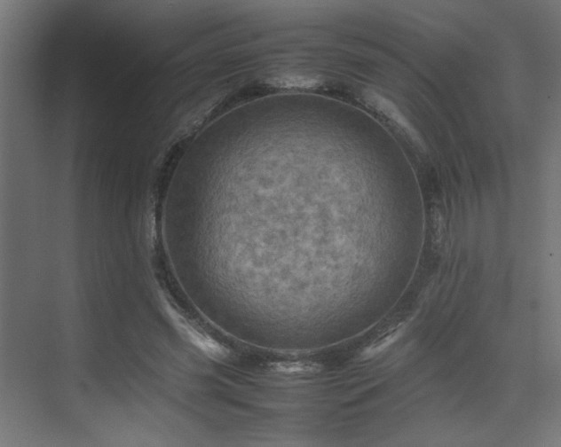 X0000075360541200609081218