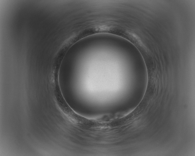 X0000075360543200609081218