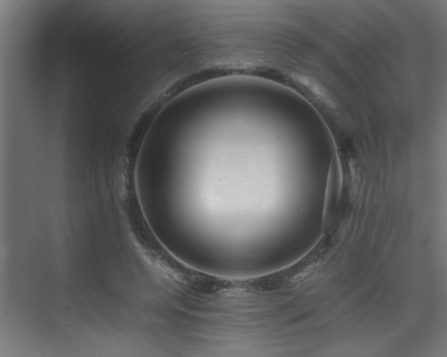 X0000075360544200609081218