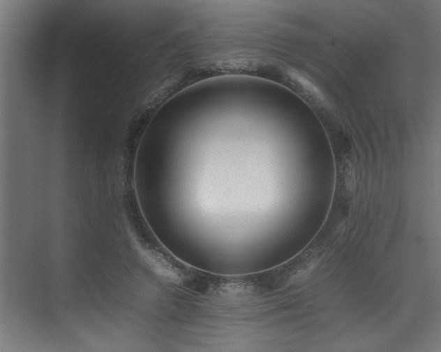 X0000075360546200609081218