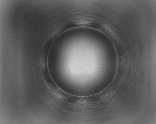 X0000075360547200609081218