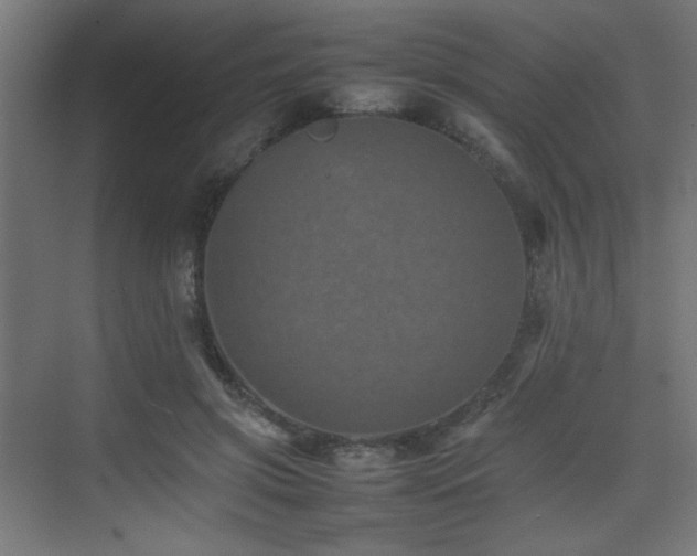 X0000075360549200609081218