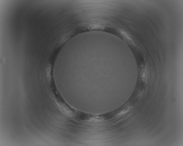 X0000075360550200609081218