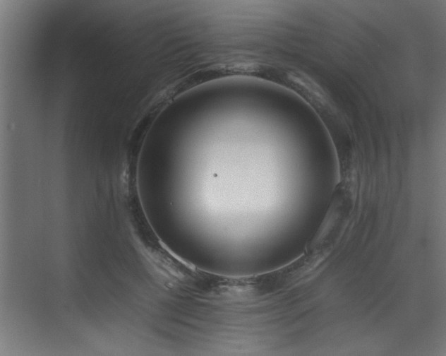 X0000075360552200609081218