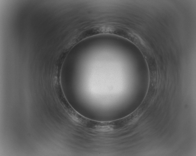 X0000075360553200609081218