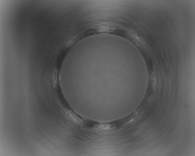 X0000075360554200609081218