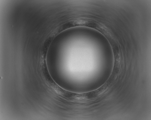 X0000075360555200609081218