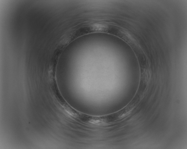 X0000075360557200609081218