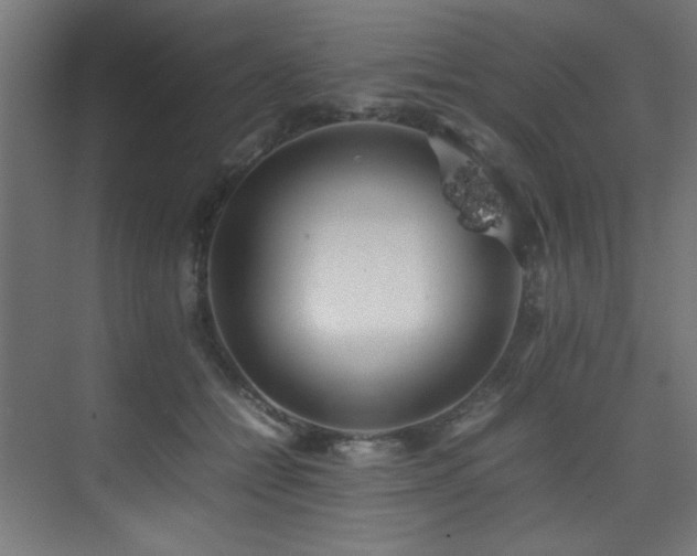 X0000075360558200609081218