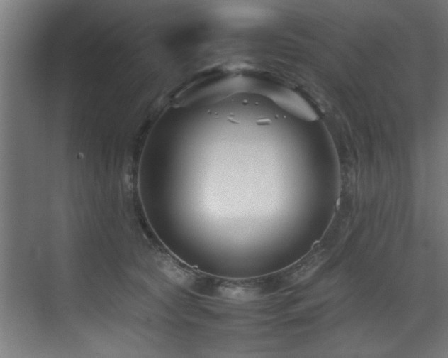 X0000075360561200609081218