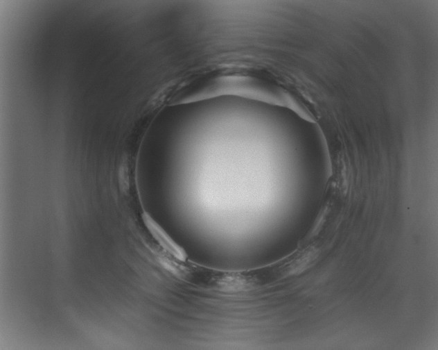 X0000075360562200609081218