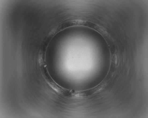 X0000075360564200609081218