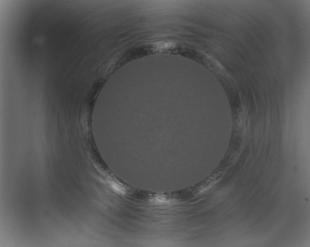 X0000075360565200609081218