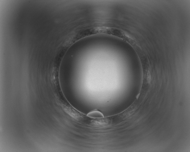 X0000075360567200609081218