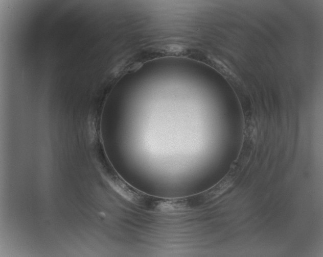 X0000075360568200609081218