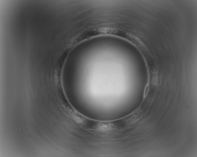 X0000075360569200609081218