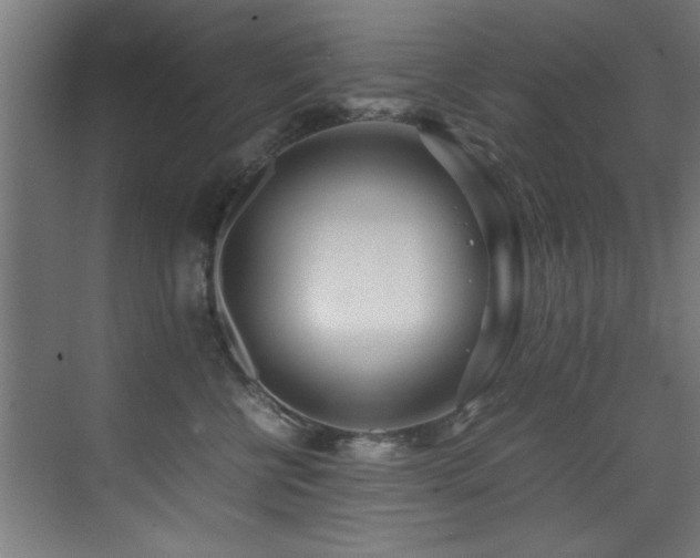 X0000075360570200609081218