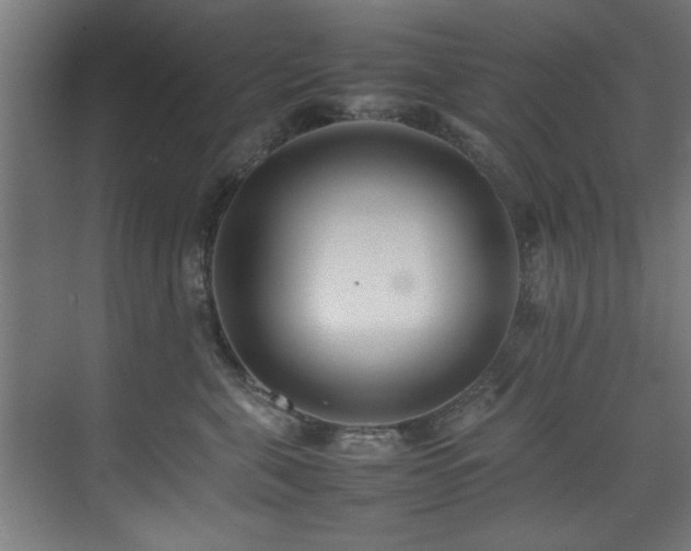 X0000075360571200609081218