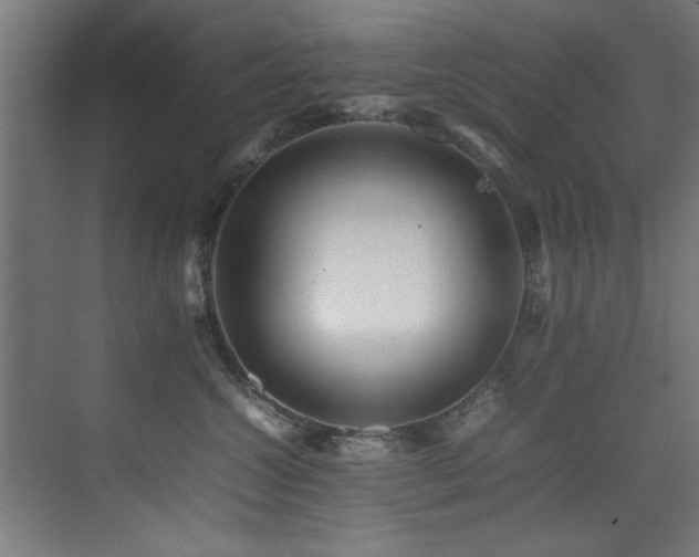 X0000075360572200609081218