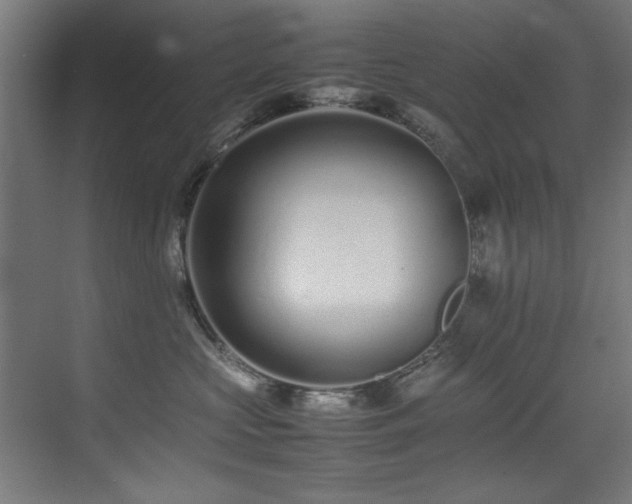 X0000075360573200609081218