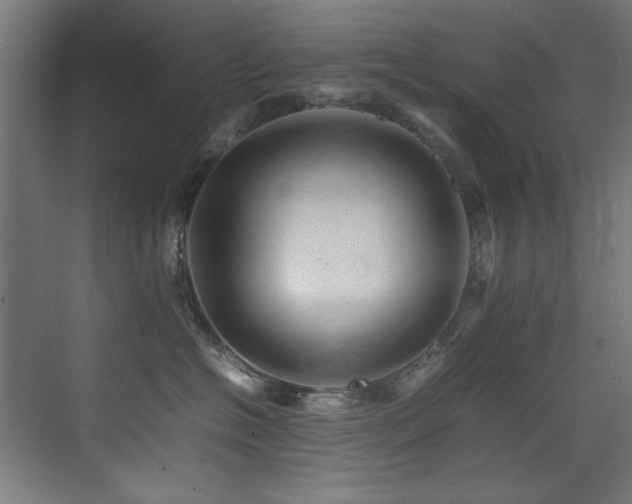 X0000075360574200609081218