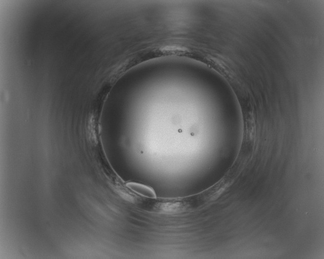 X0000075360575200609081218