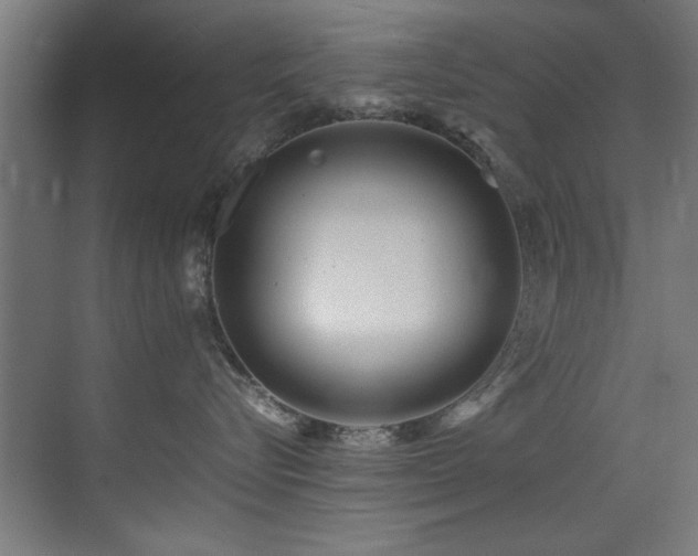 X0000075360576200609081218