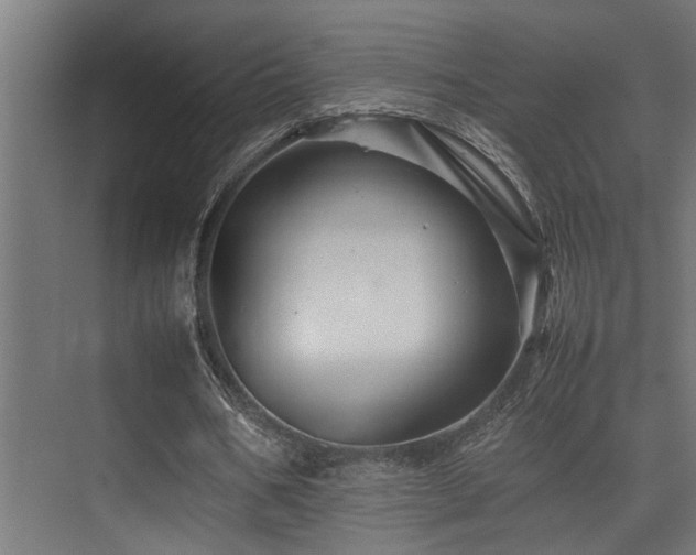 X0000075360578200609081218