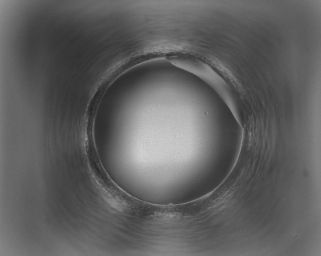 X0000075360582200609081218