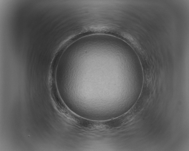 X0000075360583200609081218