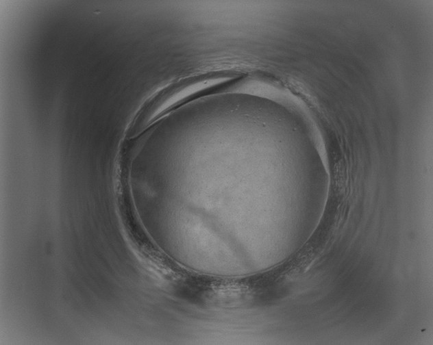 X0000075360587200609081217