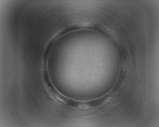 X0000075360591200609081217