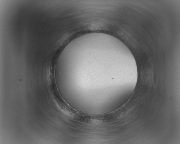 X0000075360592200609081217