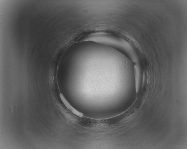 X0000075360593200609081217