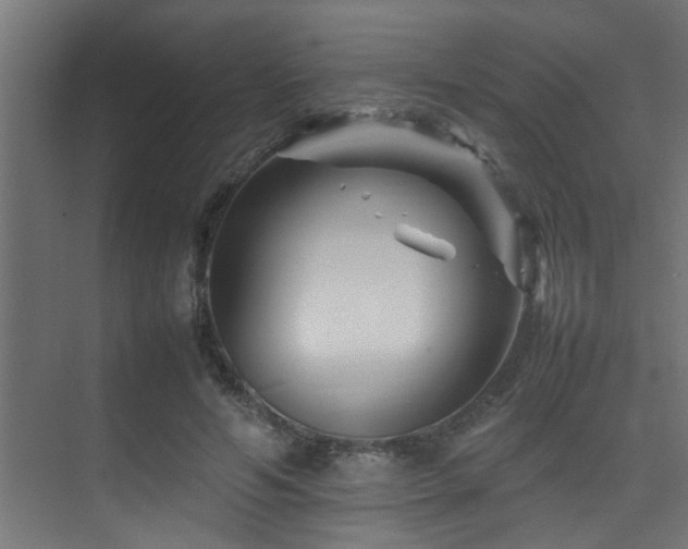 X0000075360594200609081217