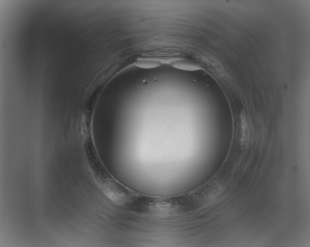 X0000075360598200609081217