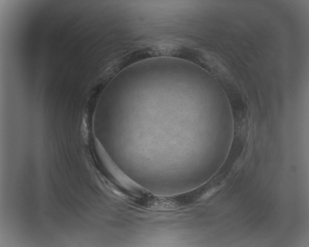 X0000075360599200609081217