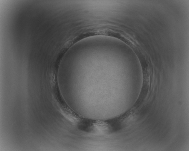 X0000075360603200609081217