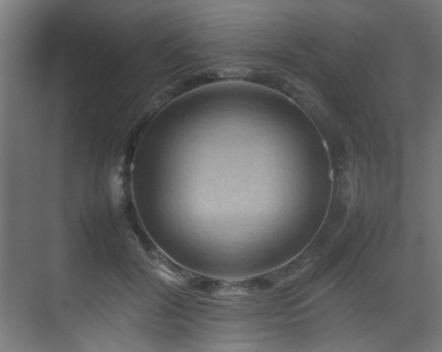 X0000075360604200609081217