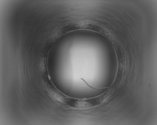 X0000075360605200609081217