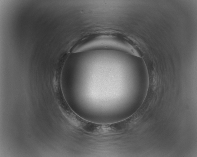 X0000075360607200609081217